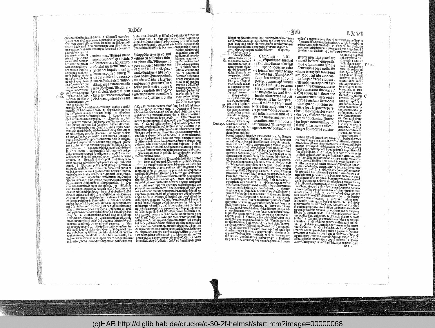 http://diglib.hab.de/drucke/c-30-2f-helmst/00000068.gif