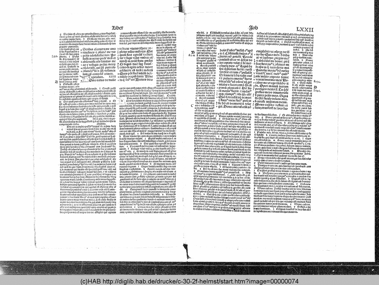 http://diglib.hab.de/drucke/c-30-2f-helmst/00000074.gif