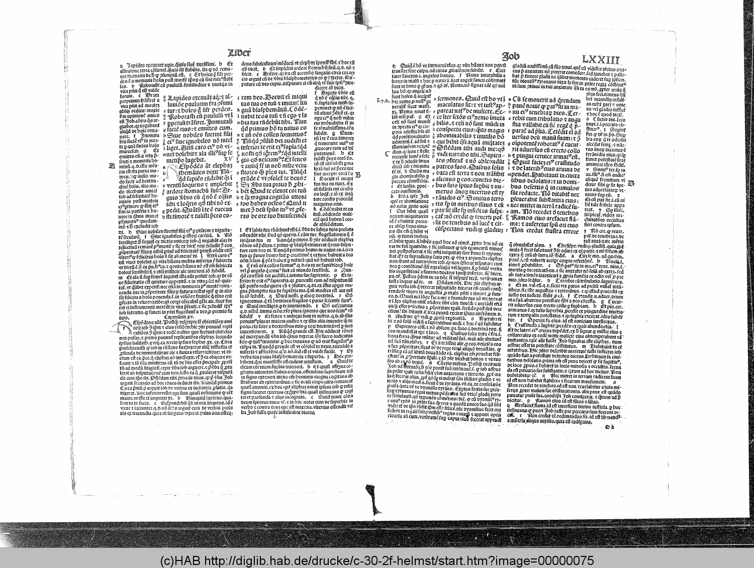 http://diglib.hab.de/drucke/c-30-2f-helmst/00000075.gif