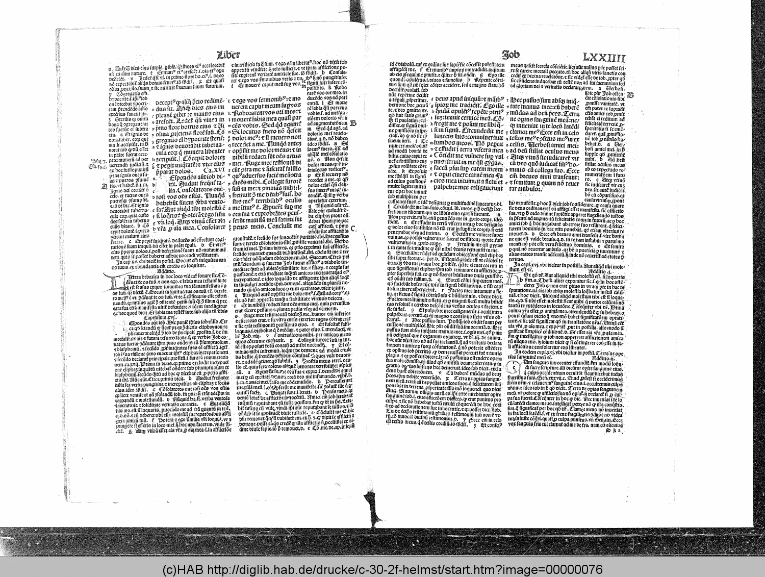http://diglib.hab.de/drucke/c-30-2f-helmst/00000076.gif