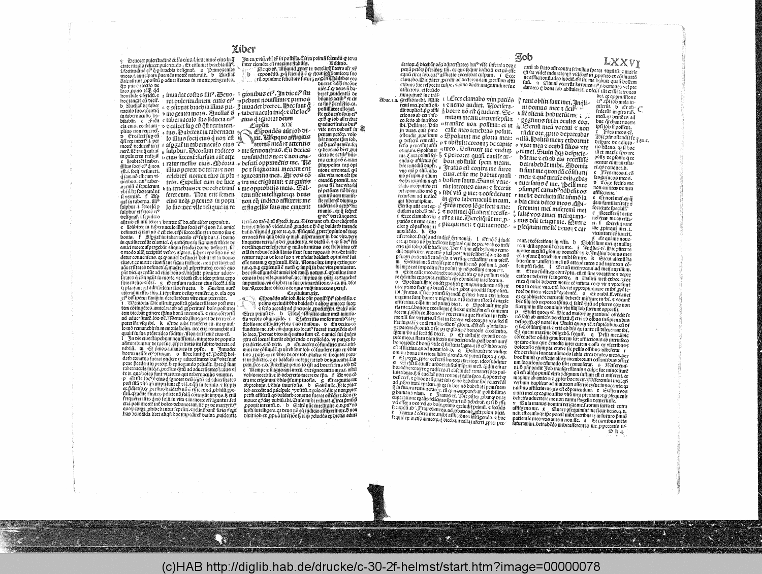 http://diglib.hab.de/drucke/c-30-2f-helmst/00000078.gif