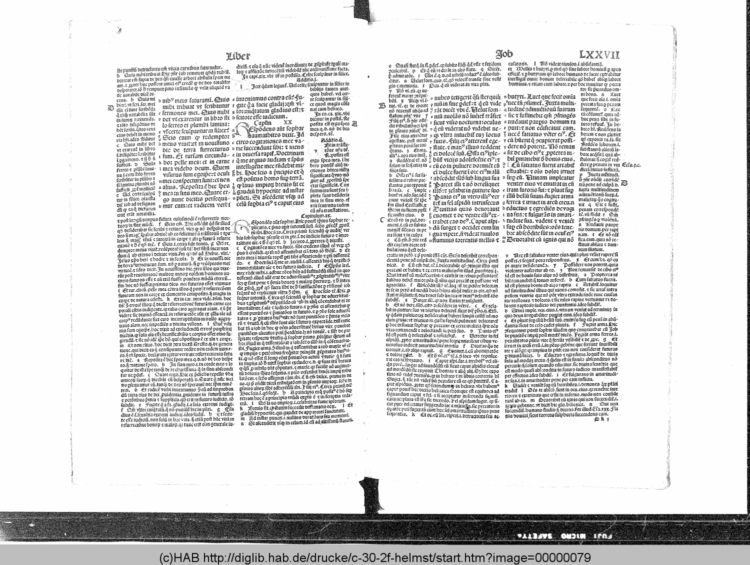http://diglib.hab.de/drucke/c-30-2f-helmst/00000079.gif