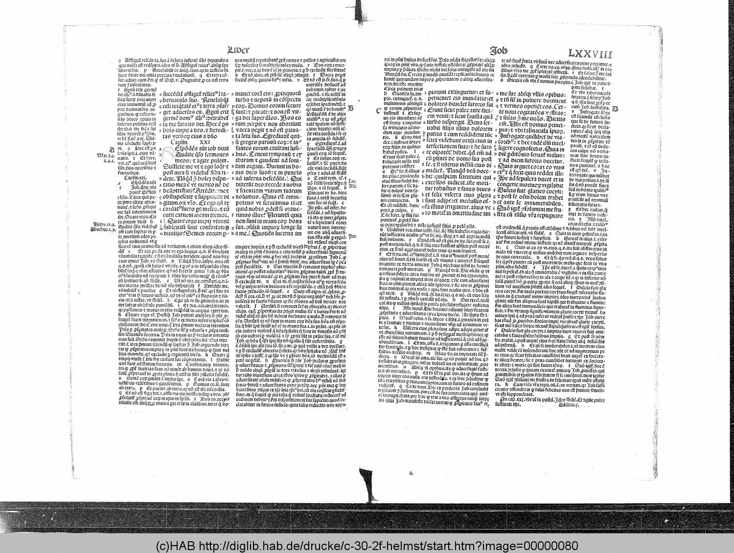http://diglib.hab.de/drucke/c-30-2f-helmst/00000080.gif