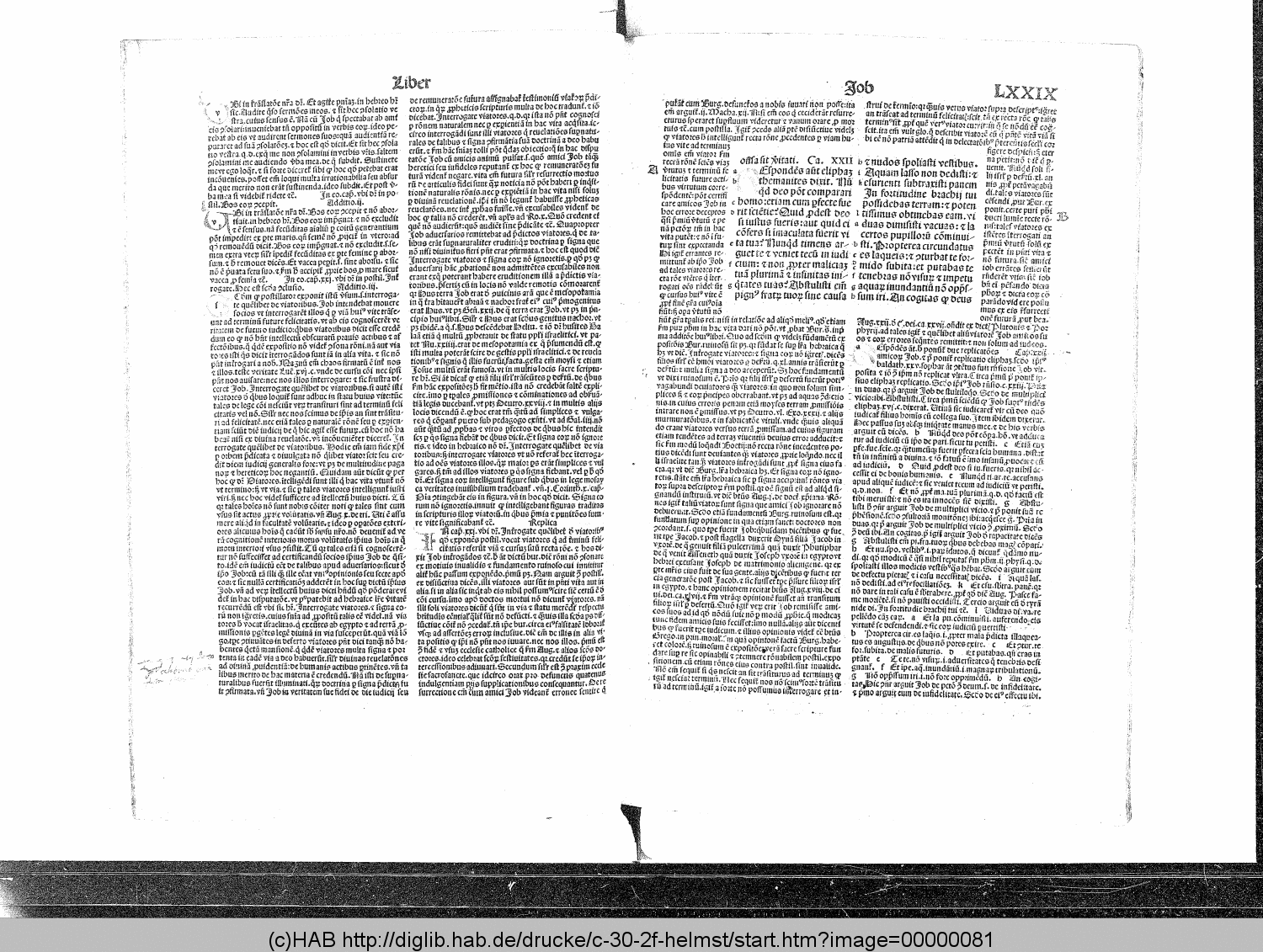http://diglib.hab.de/drucke/c-30-2f-helmst/00000081.gif