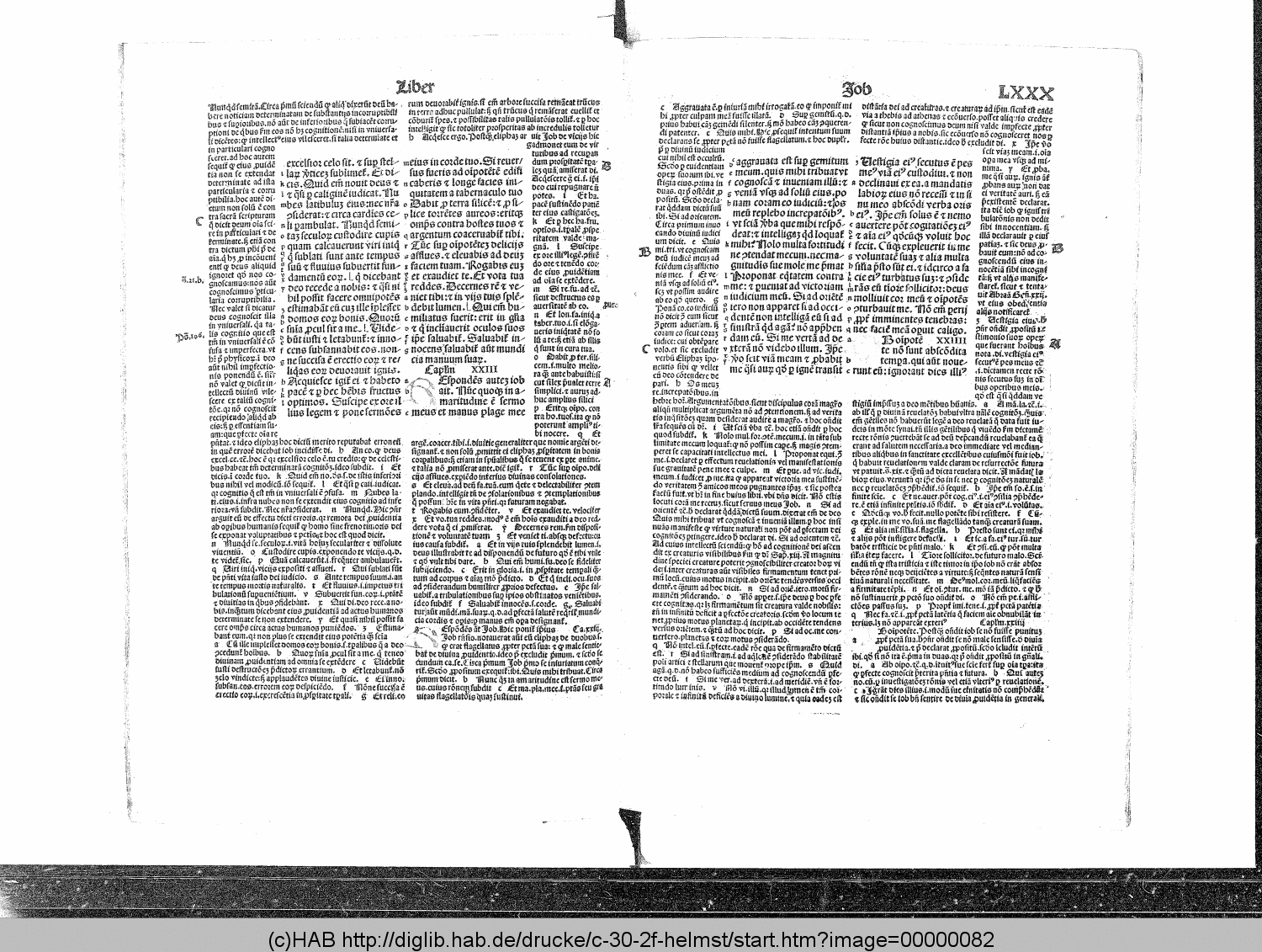 http://diglib.hab.de/drucke/c-30-2f-helmst/00000082.gif