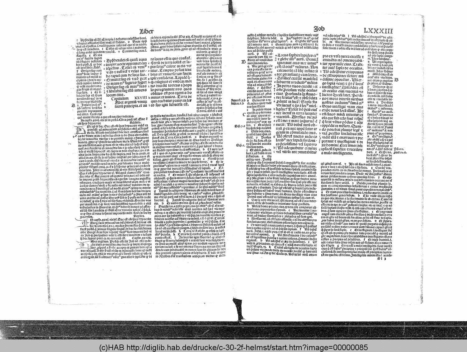 http://diglib.hab.de/drucke/c-30-2f-helmst/00000085.gif