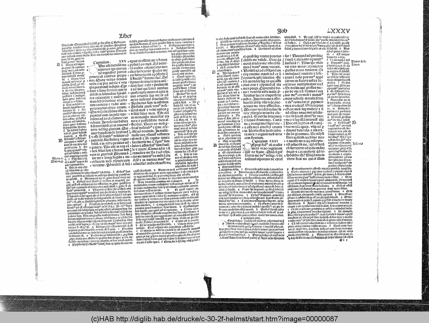http://diglib.hab.de/drucke/c-30-2f-helmst/00000087.gif