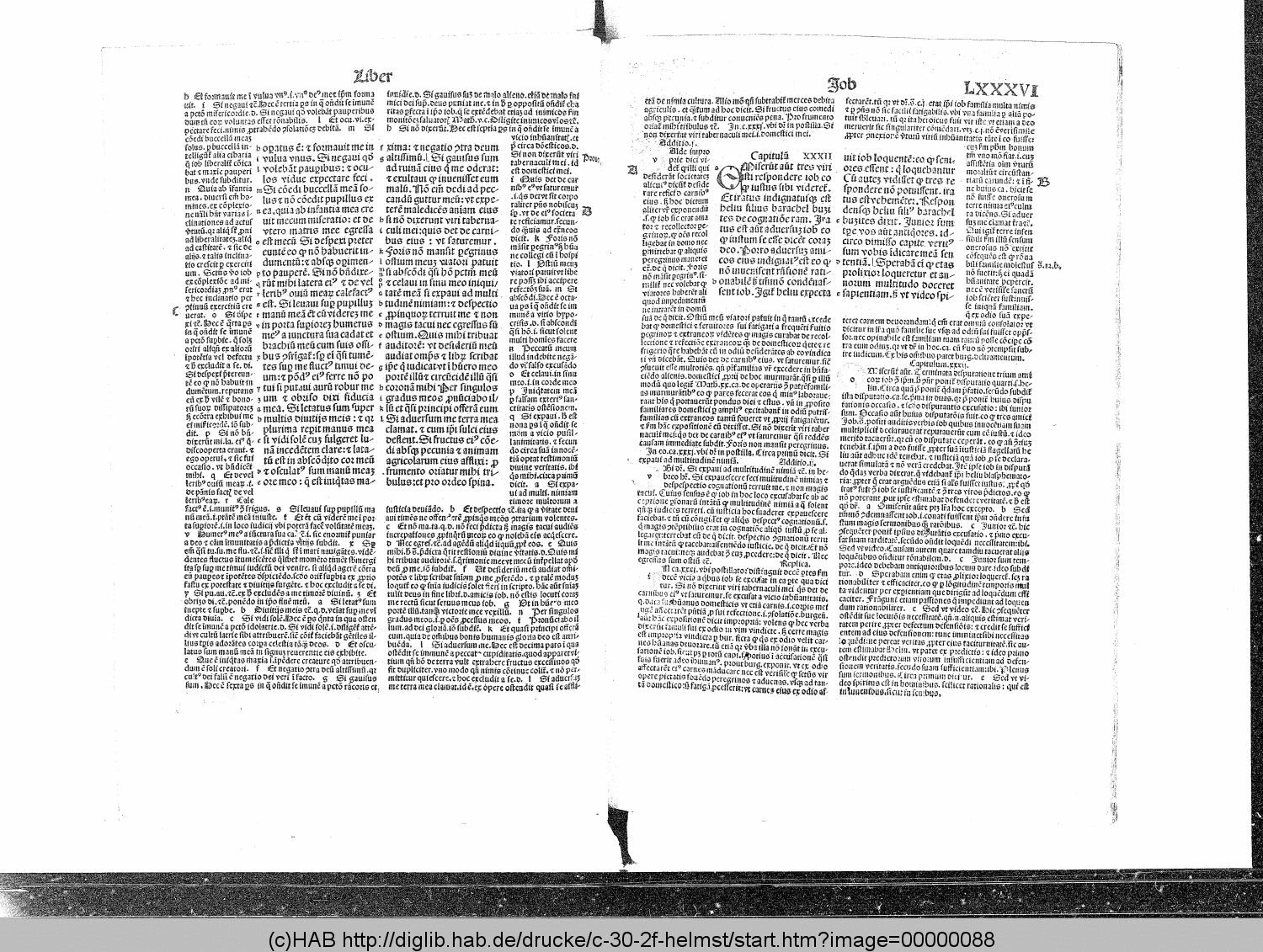 http://diglib.hab.de/drucke/c-30-2f-helmst/00000088.gif