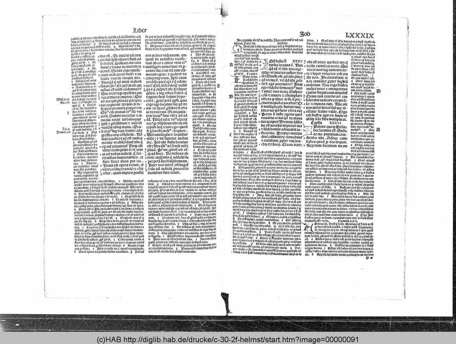 http://diglib.hab.de/drucke/c-30-2f-helmst/00000091.gif
