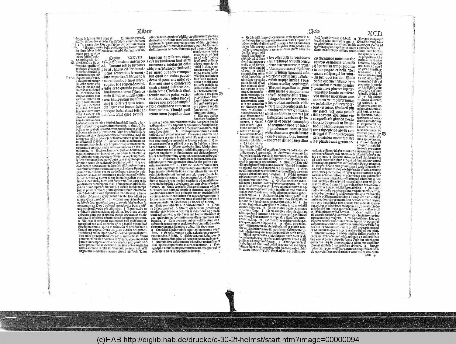 http://diglib.hab.de/drucke/c-30-2f-helmst/00000094.gif