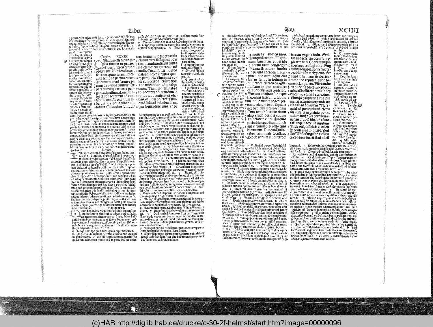 http://diglib.hab.de/drucke/c-30-2f-helmst/00000096.gif