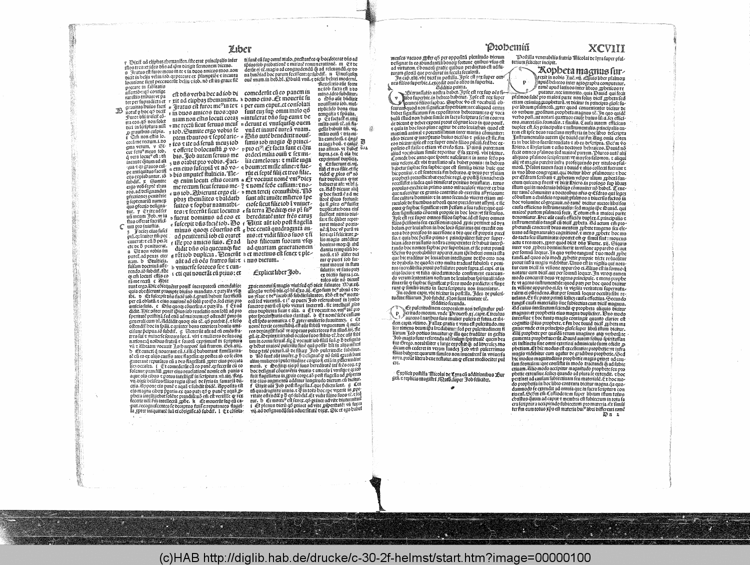 http://diglib.hab.de/drucke/c-30-2f-helmst/00000100.gif