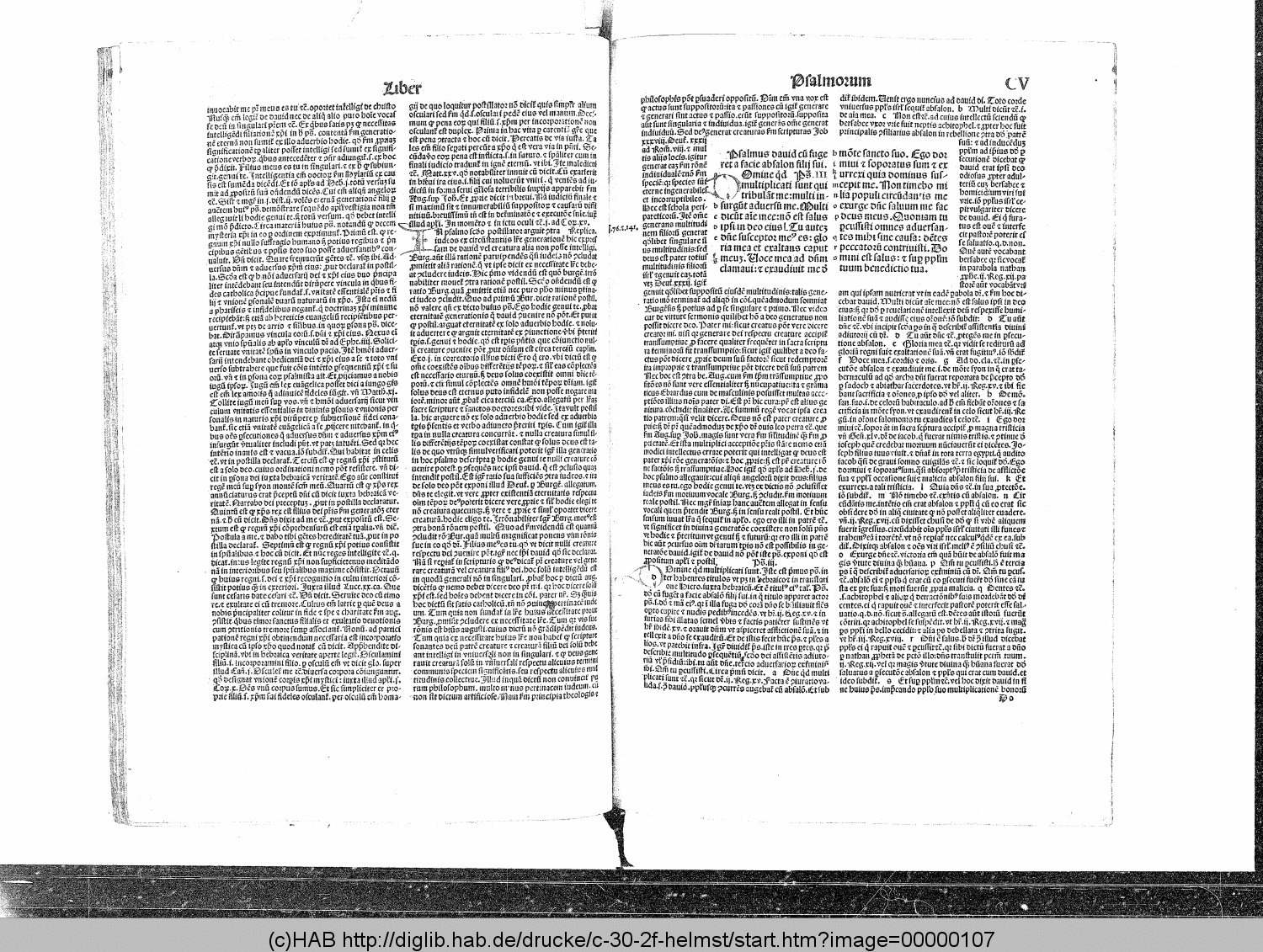http://diglib.hab.de/drucke/c-30-2f-helmst/00000107.gif