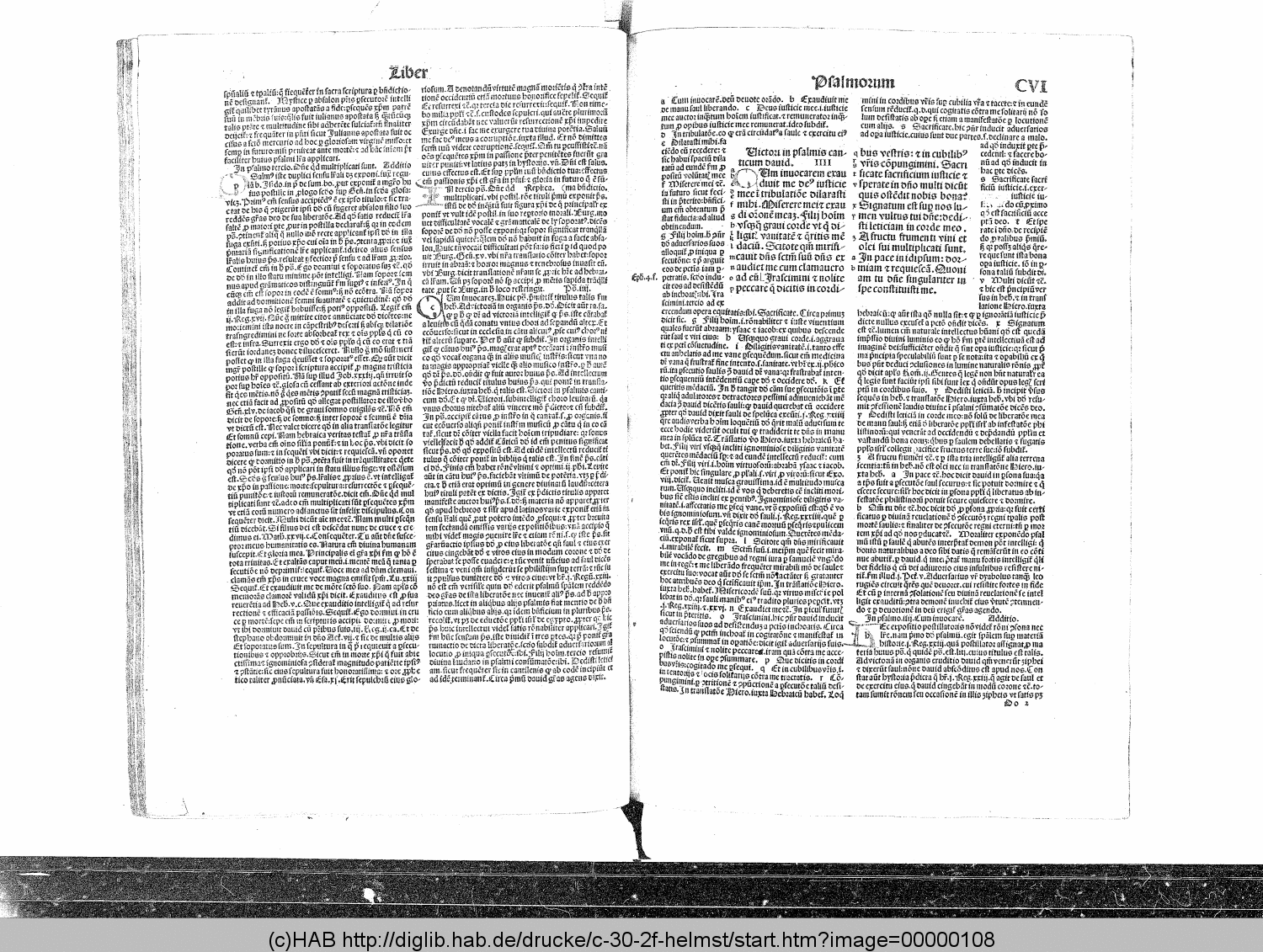 http://diglib.hab.de/drucke/c-30-2f-helmst/00000108.gif