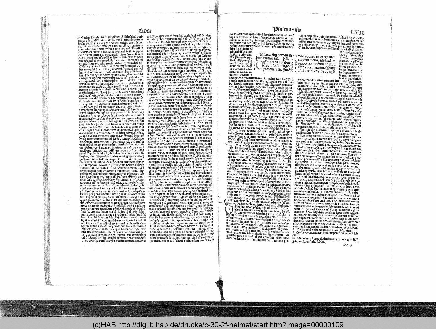 http://diglib.hab.de/drucke/c-30-2f-helmst/00000109.gif