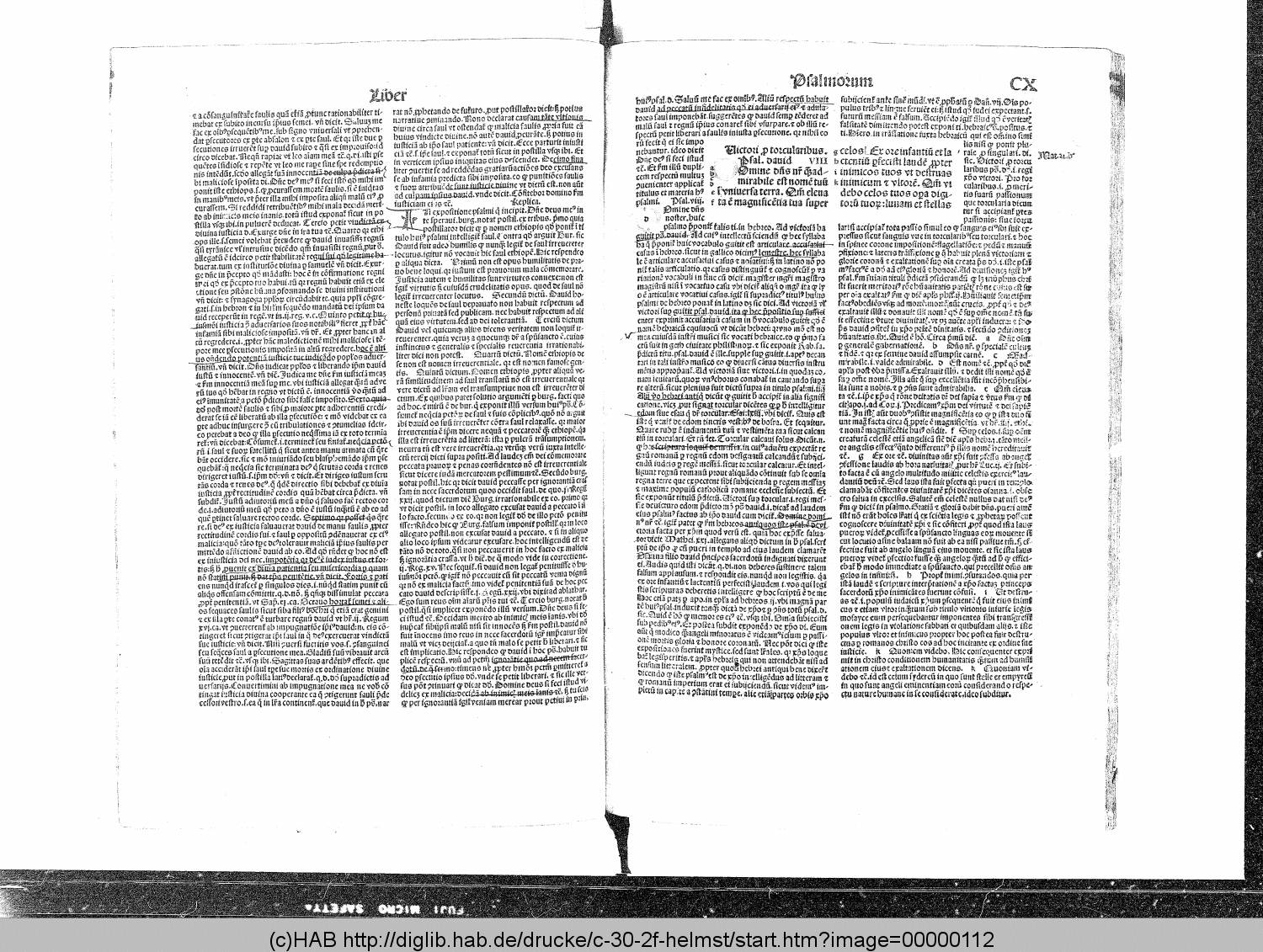 http://diglib.hab.de/drucke/c-30-2f-helmst/00000112.gif