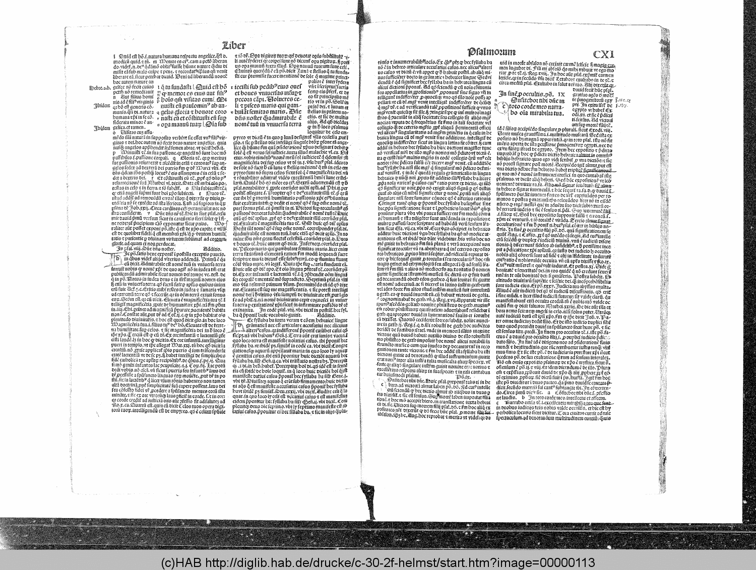 http://diglib.hab.de/drucke/c-30-2f-helmst/00000113.gif
