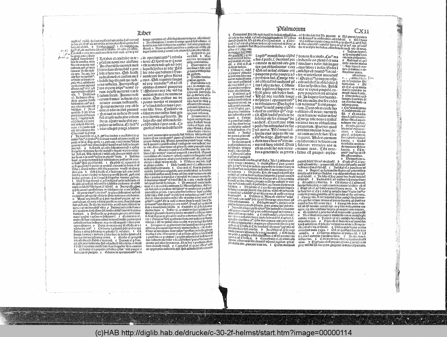 http://diglib.hab.de/drucke/c-30-2f-helmst/00000114.gif