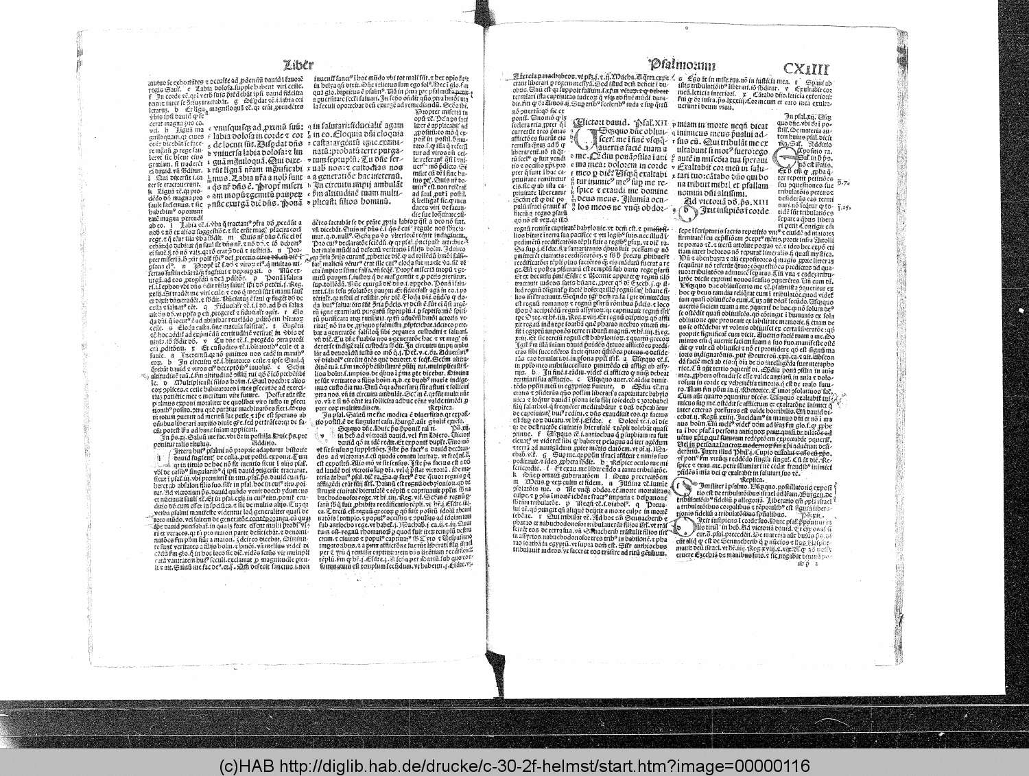 http://diglib.hab.de/drucke/c-30-2f-helmst/00000116.gif