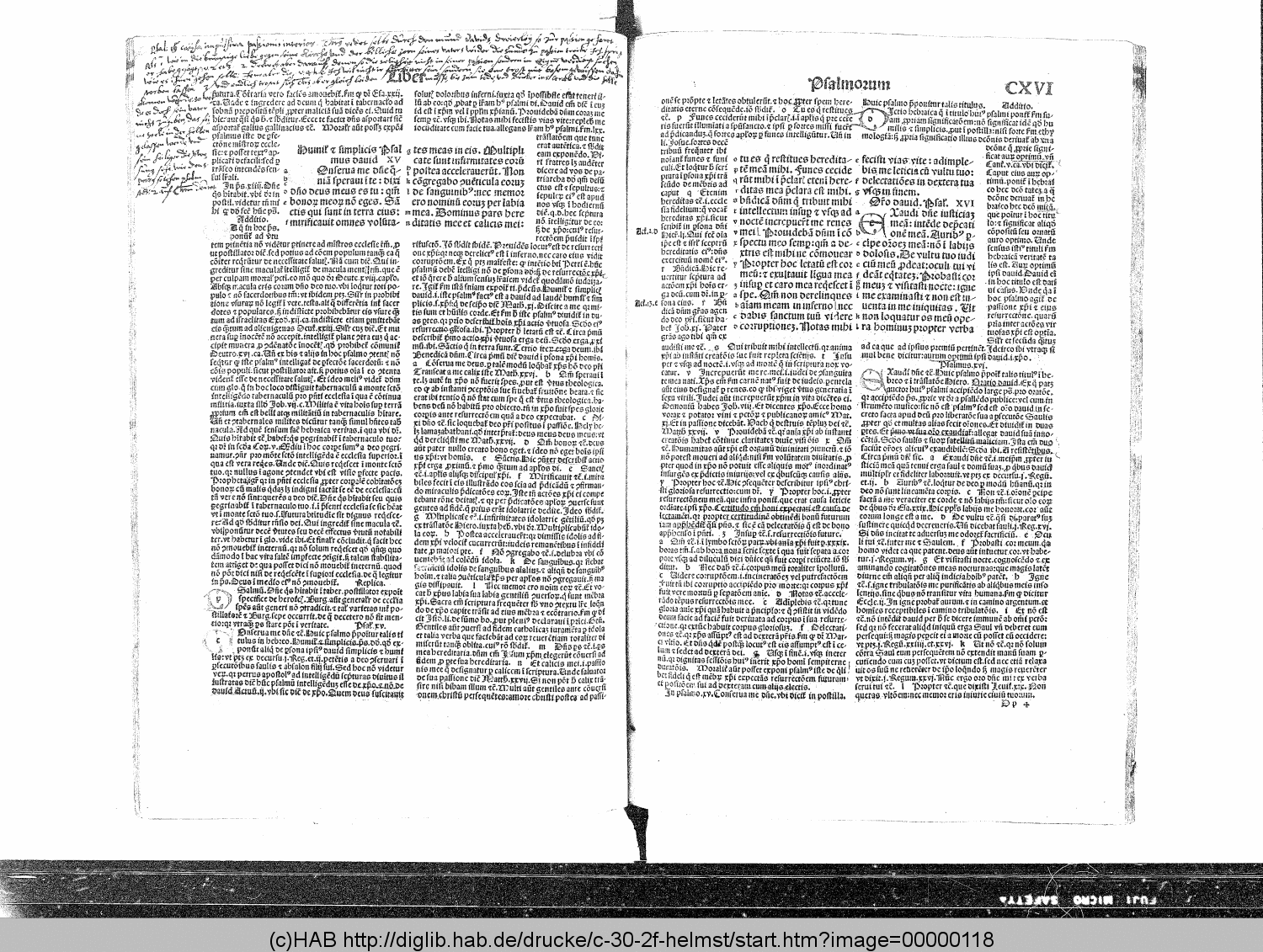 http://diglib.hab.de/drucke/c-30-2f-helmst/00000118.gif