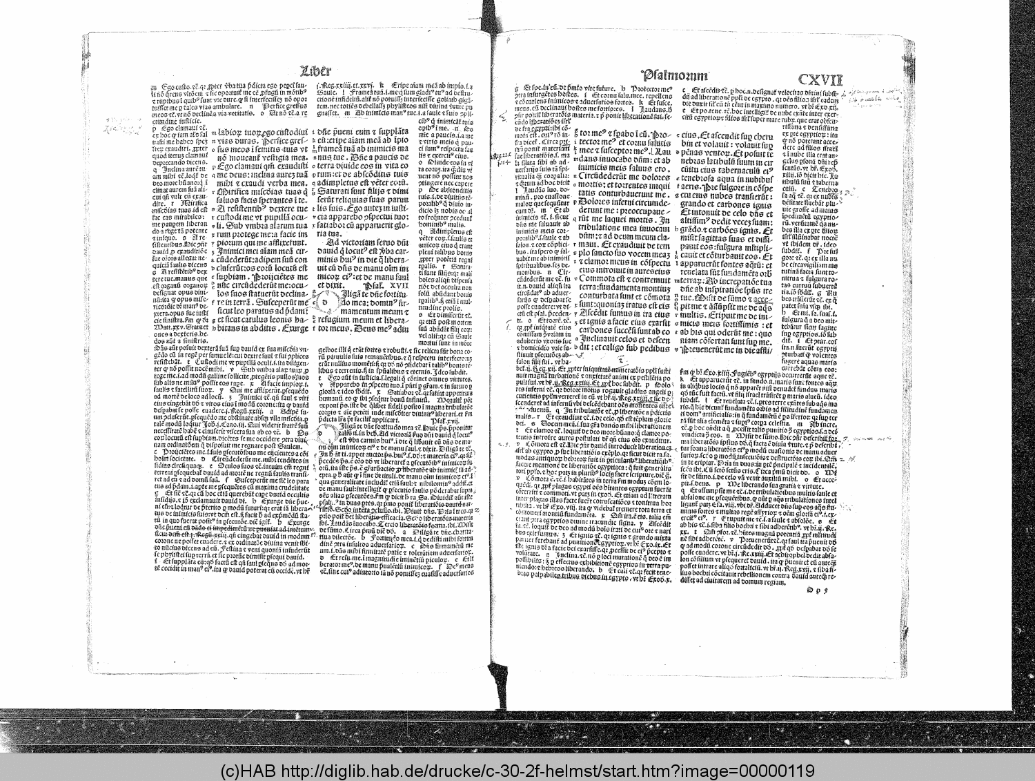http://diglib.hab.de/drucke/c-30-2f-helmst/00000119.gif
