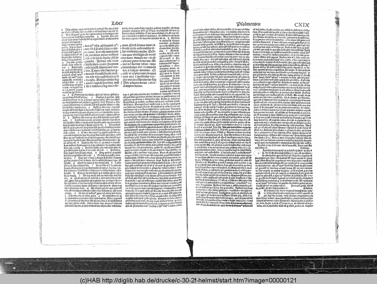 http://diglib.hab.de/drucke/c-30-2f-helmst/00000121.gif