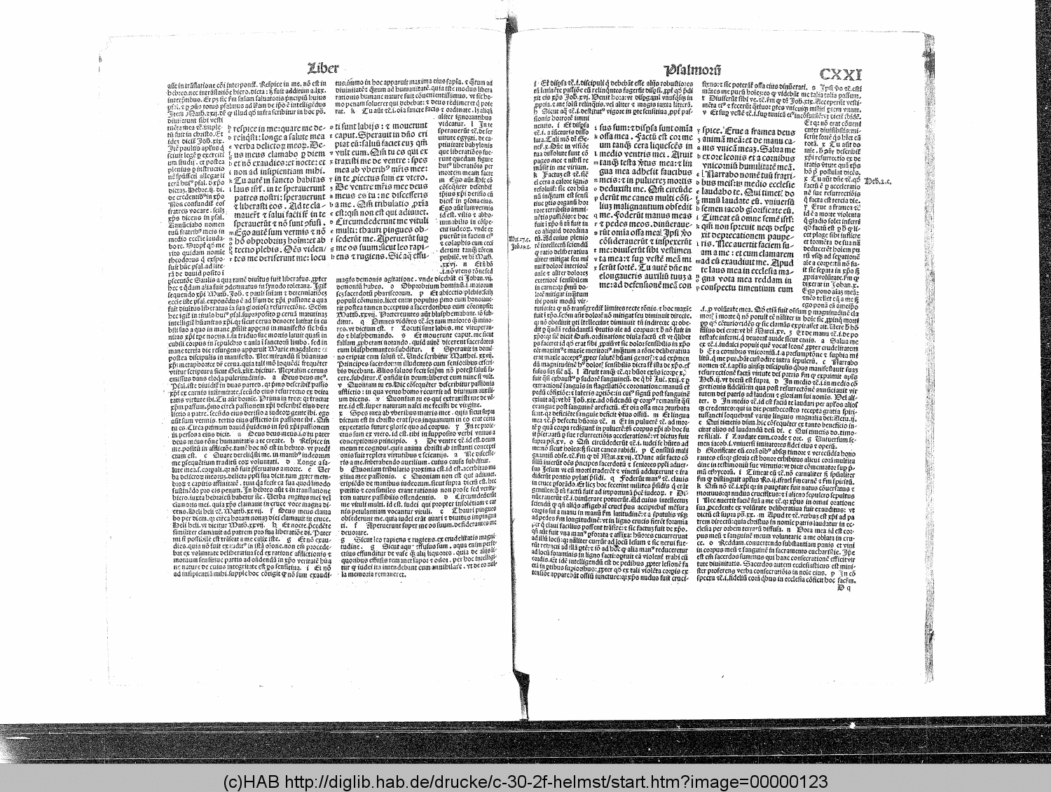 http://diglib.hab.de/drucke/c-30-2f-helmst/00000123.gif