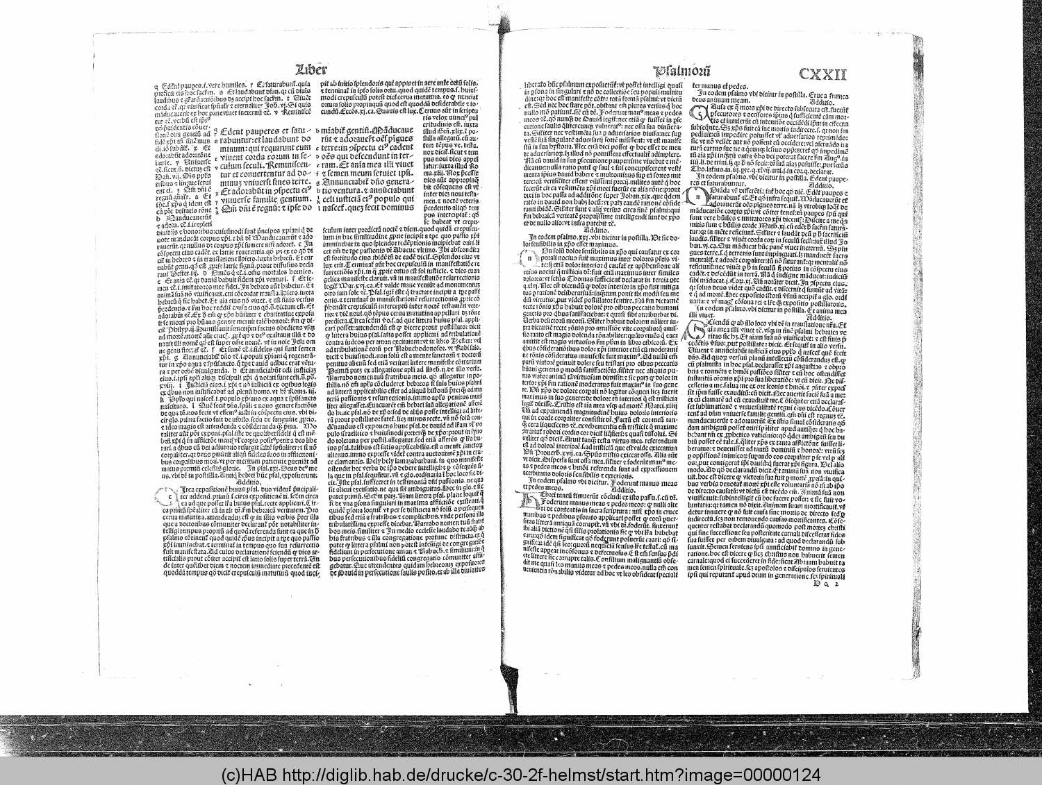 http://diglib.hab.de/drucke/c-30-2f-helmst/00000124.gif