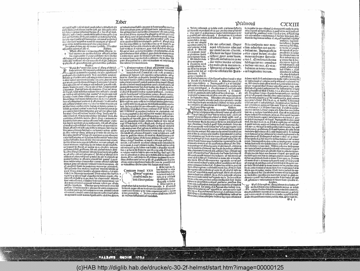 http://diglib.hab.de/drucke/c-30-2f-helmst/00000125.gif