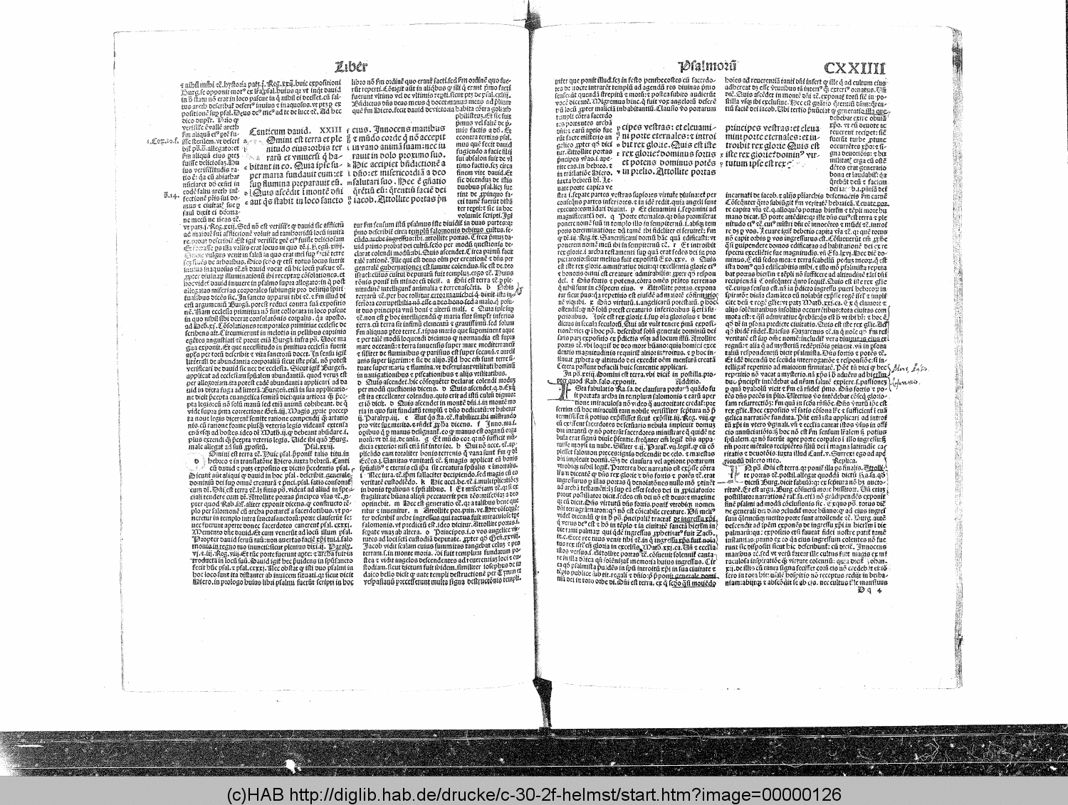 http://diglib.hab.de/drucke/c-30-2f-helmst/00000126.gif