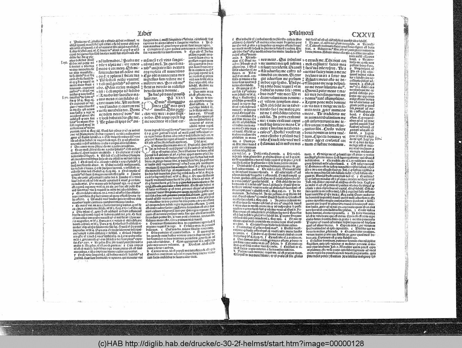http://diglib.hab.de/drucke/c-30-2f-helmst/00000128.gif