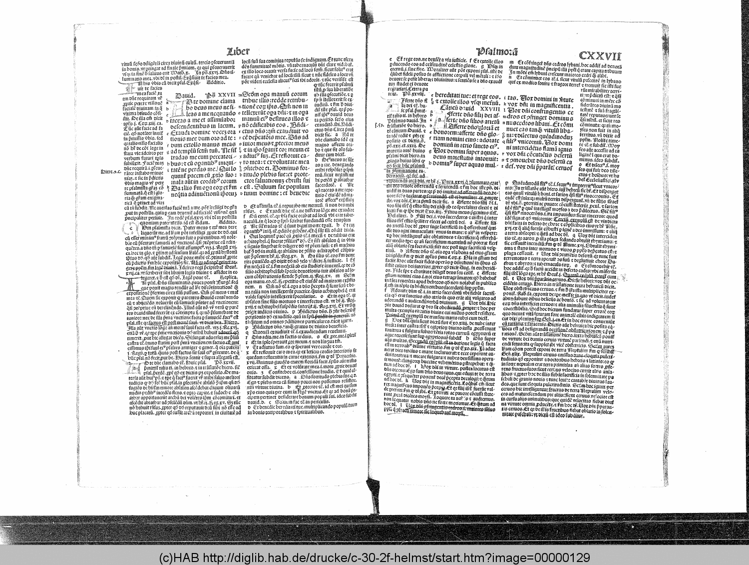 http://diglib.hab.de/drucke/c-30-2f-helmst/00000129.gif