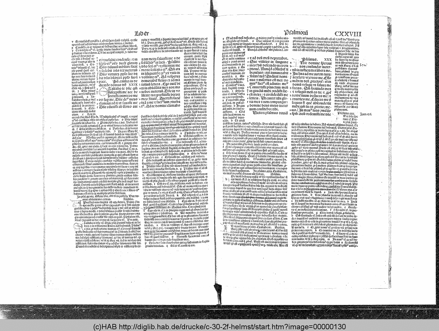 http://diglib.hab.de/drucke/c-30-2f-helmst/00000130.gif