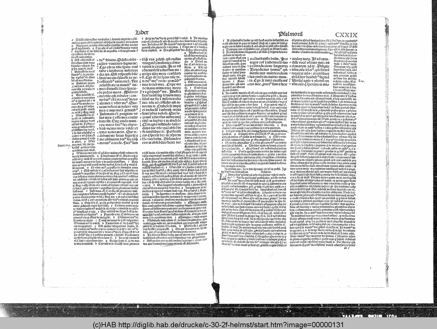 http://diglib.hab.de/drucke/c-30-2f-helmst/00000131.gif