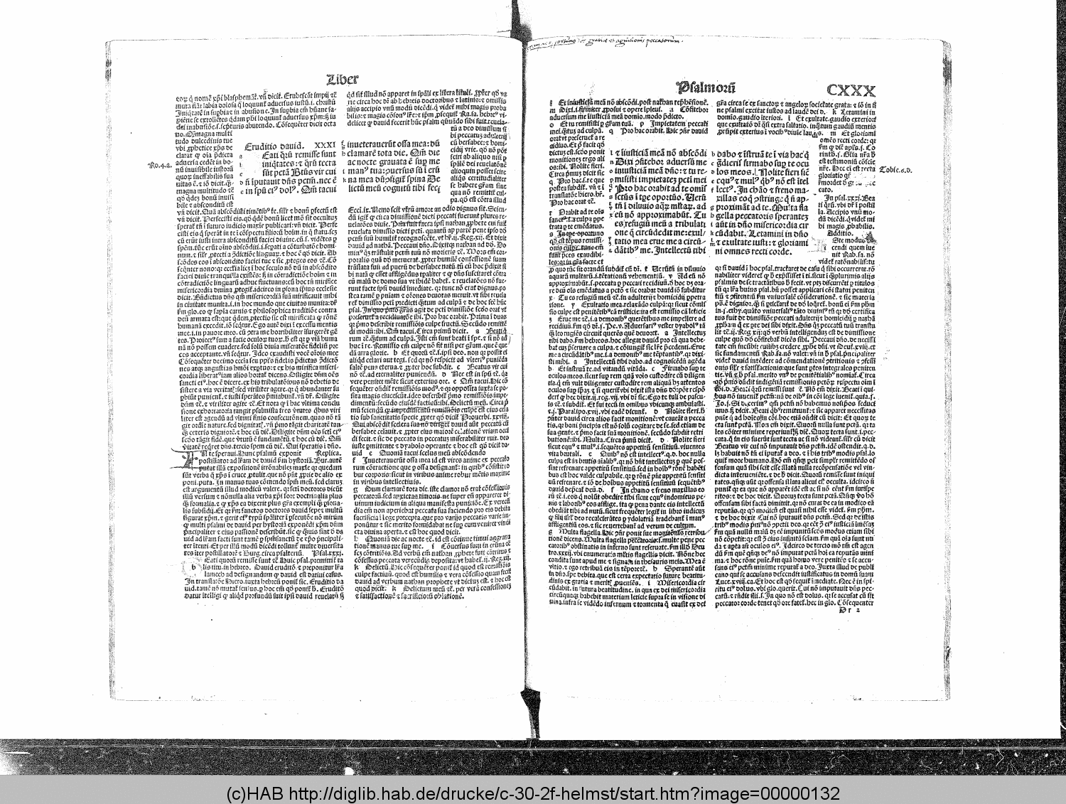 http://diglib.hab.de/drucke/c-30-2f-helmst/00000132.gif