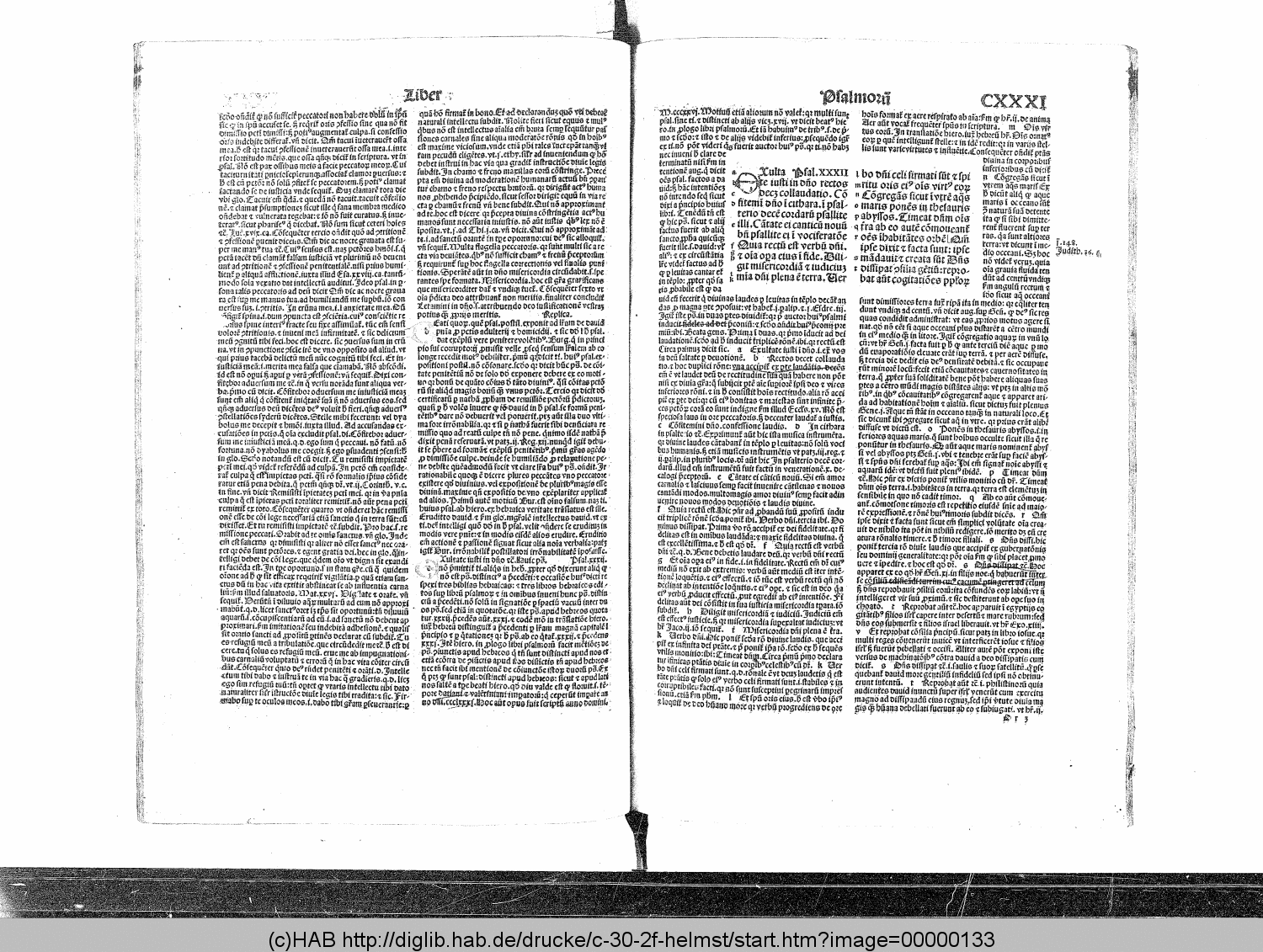 http://diglib.hab.de/drucke/c-30-2f-helmst/00000133.gif