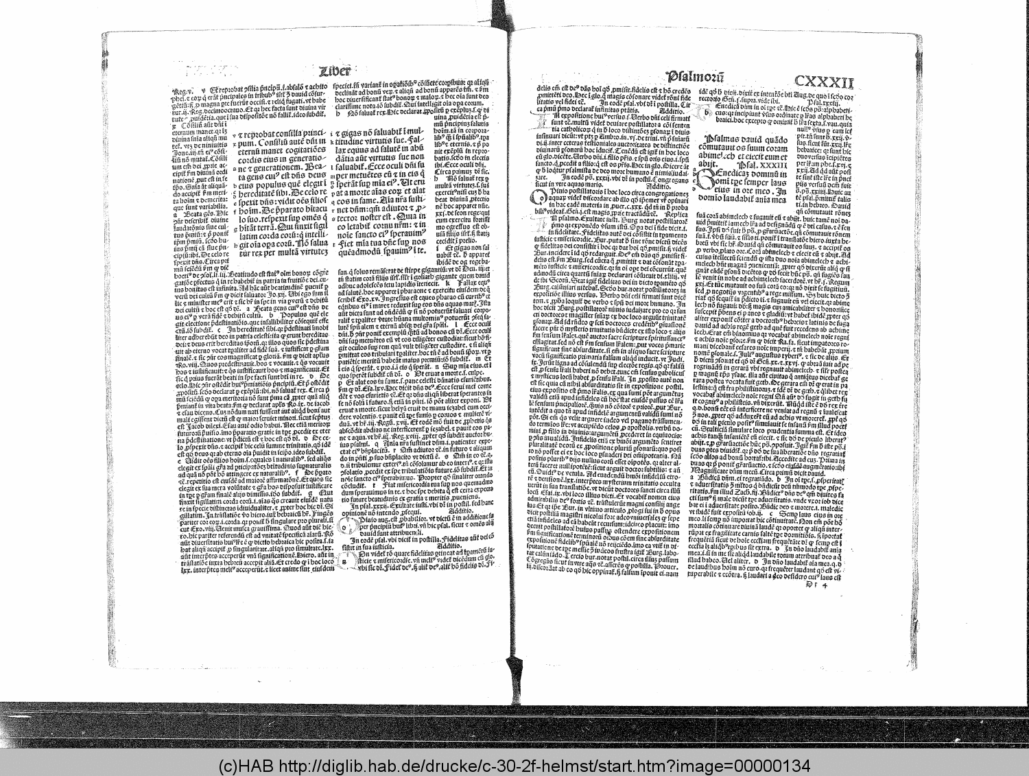 http://diglib.hab.de/drucke/c-30-2f-helmst/00000134.gif