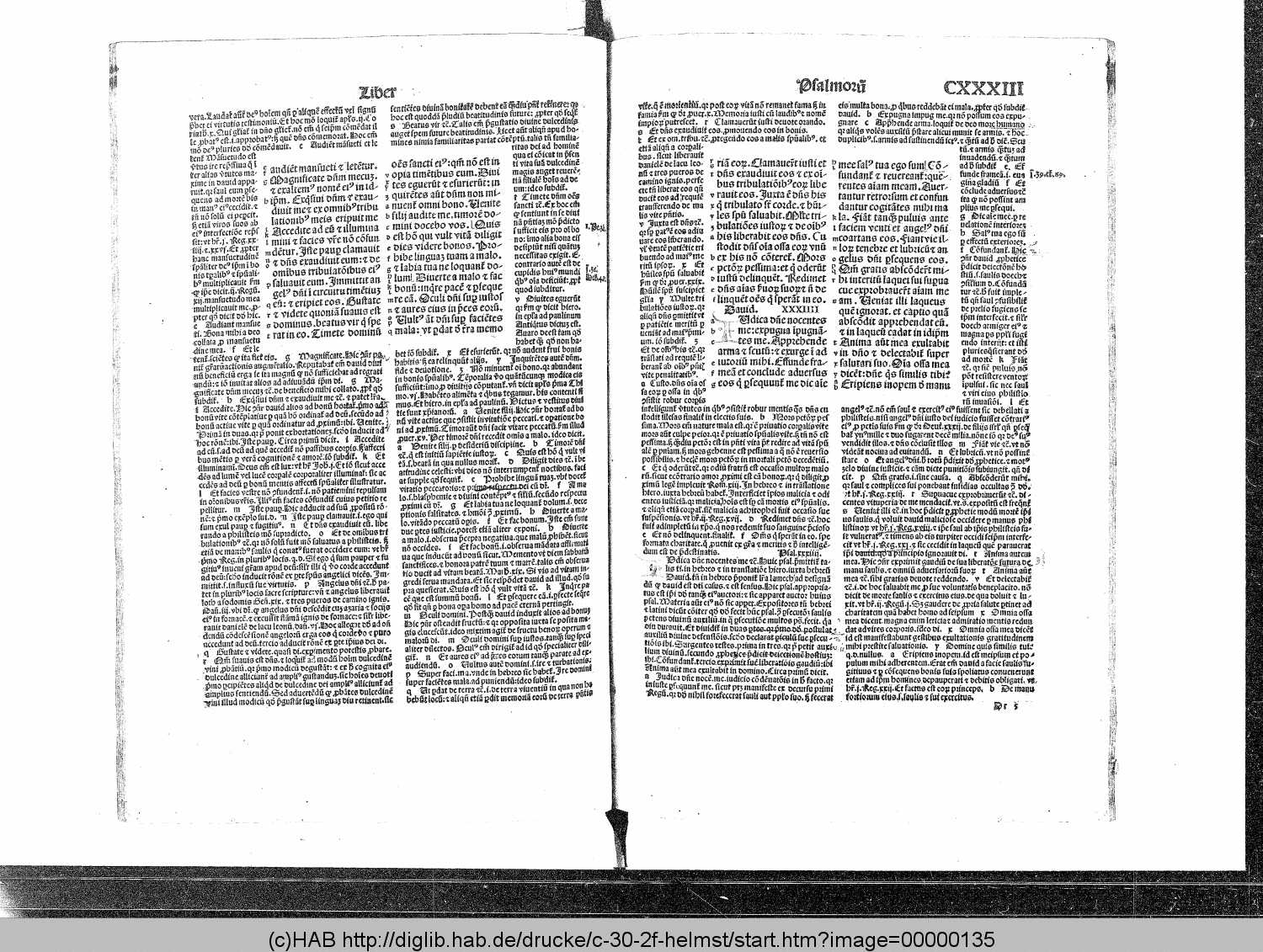 http://diglib.hab.de/drucke/c-30-2f-helmst/00000135.gif