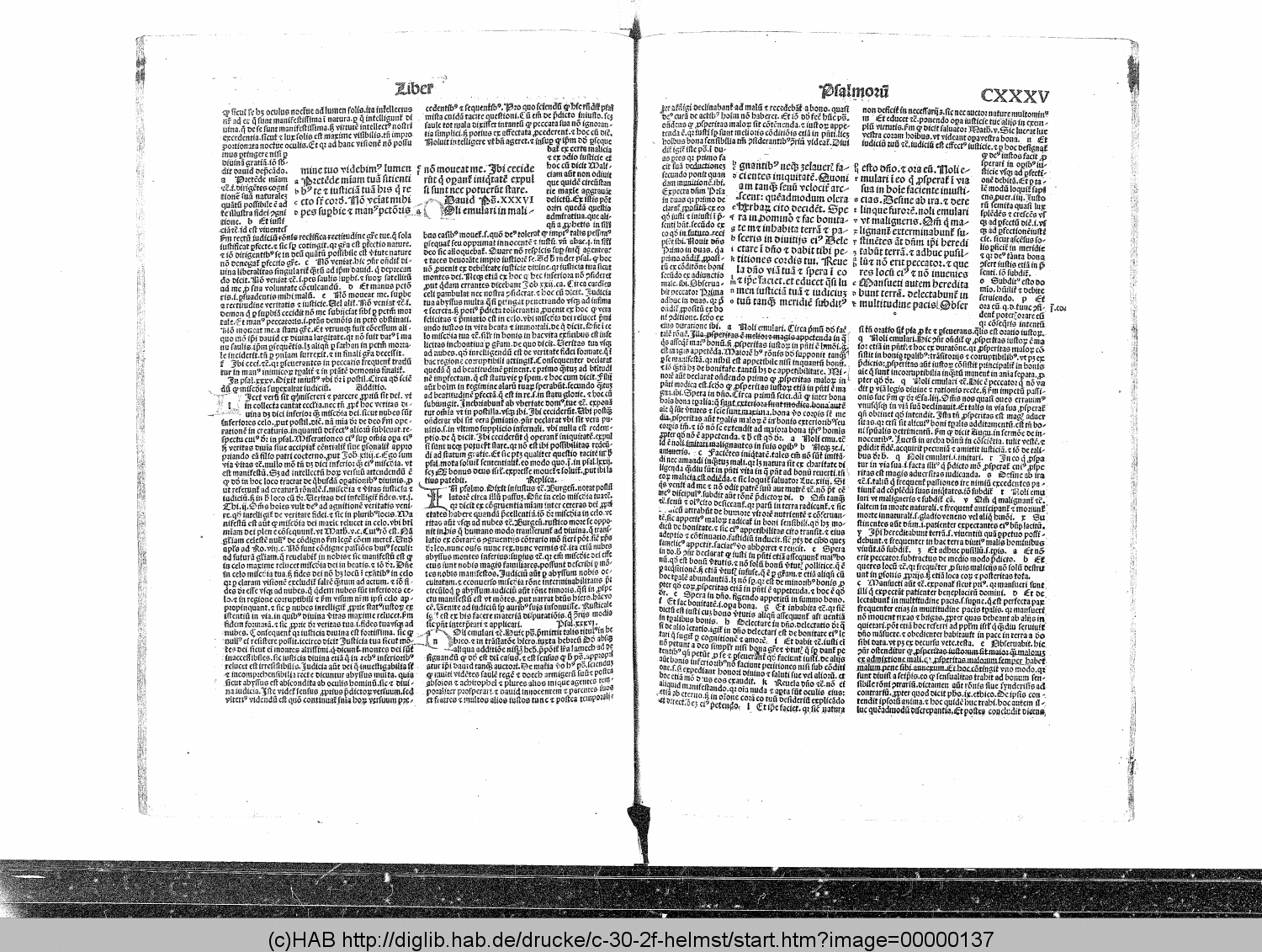 http://diglib.hab.de/drucke/c-30-2f-helmst/00000137.gif
