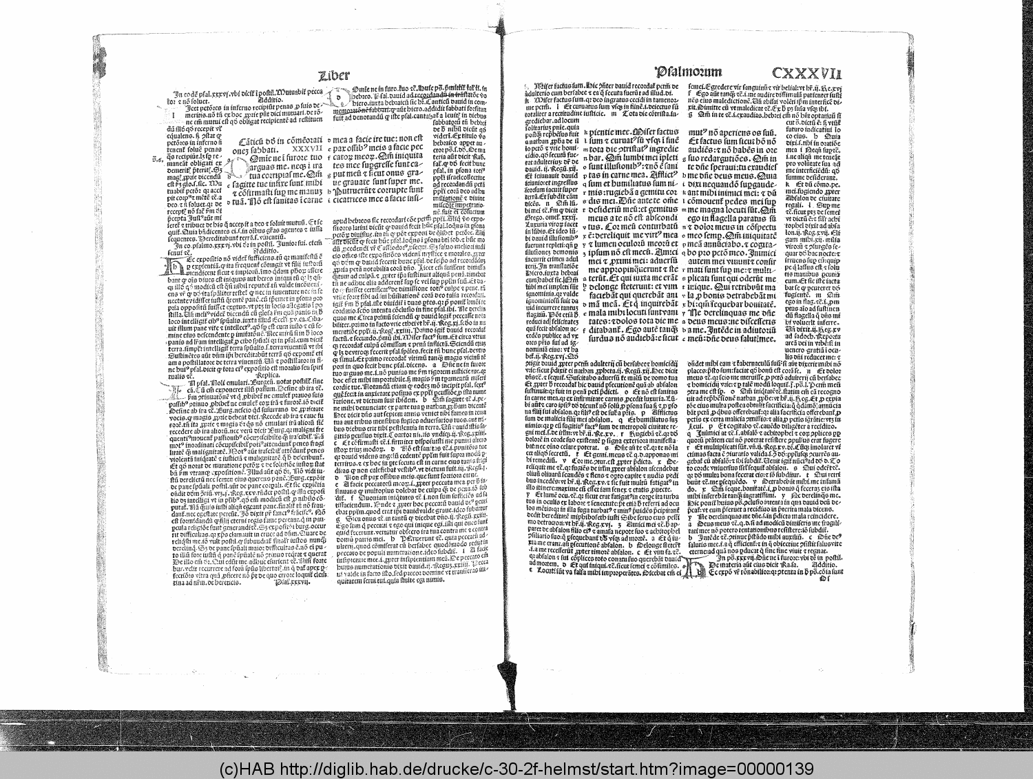 http://diglib.hab.de/drucke/c-30-2f-helmst/00000139.gif