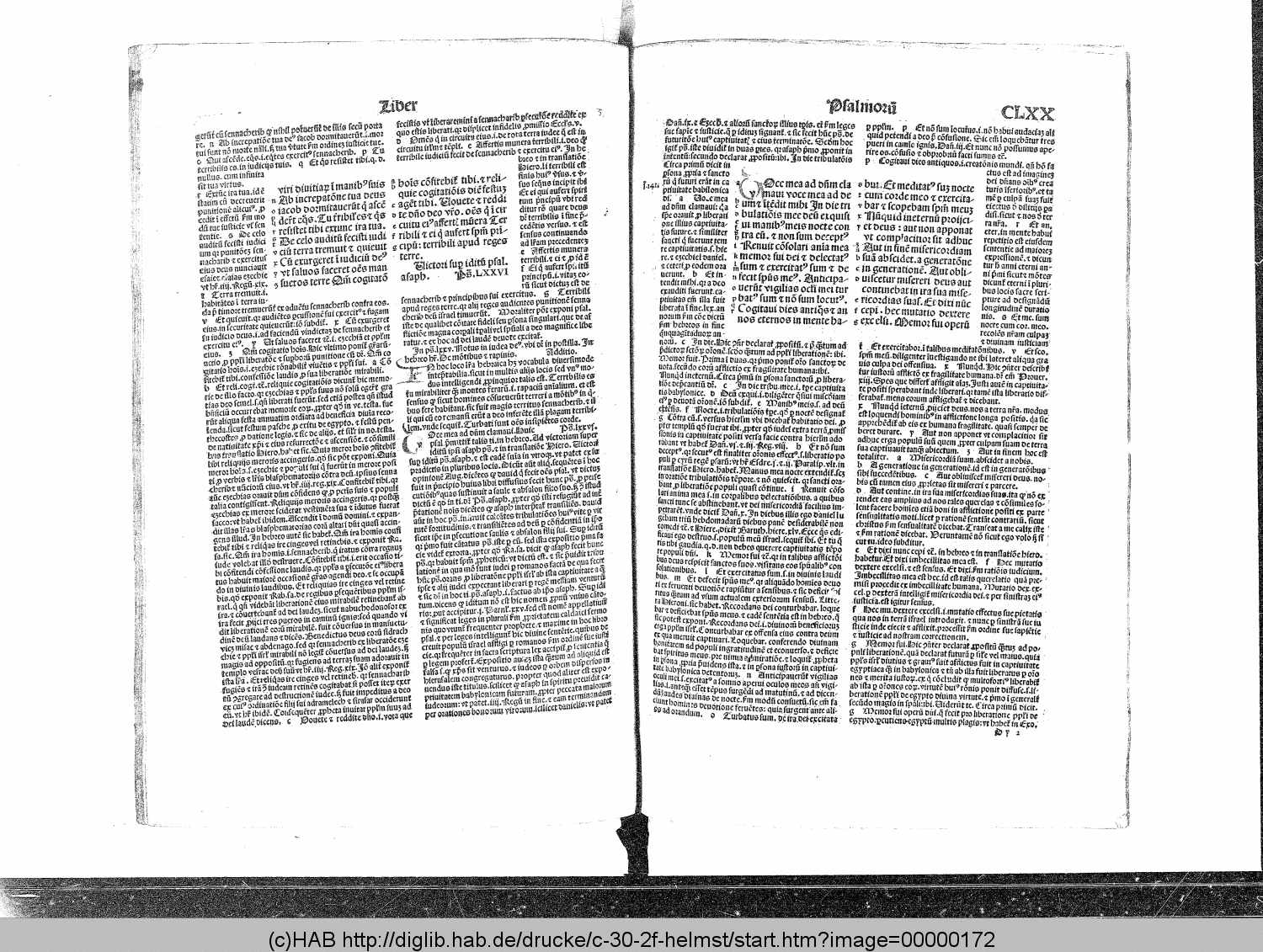 http://diglib.hab.de/drucke/c-30-2f-helmst/00000172.gif