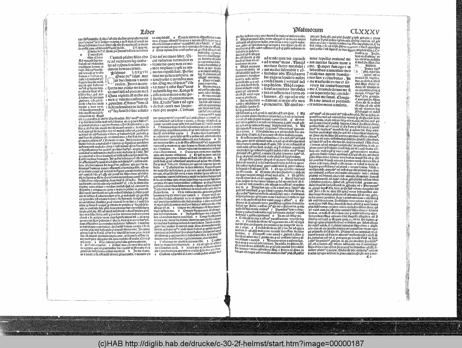 http://diglib.hab.de/drucke/c-30-2f-helmst/00000187.gif