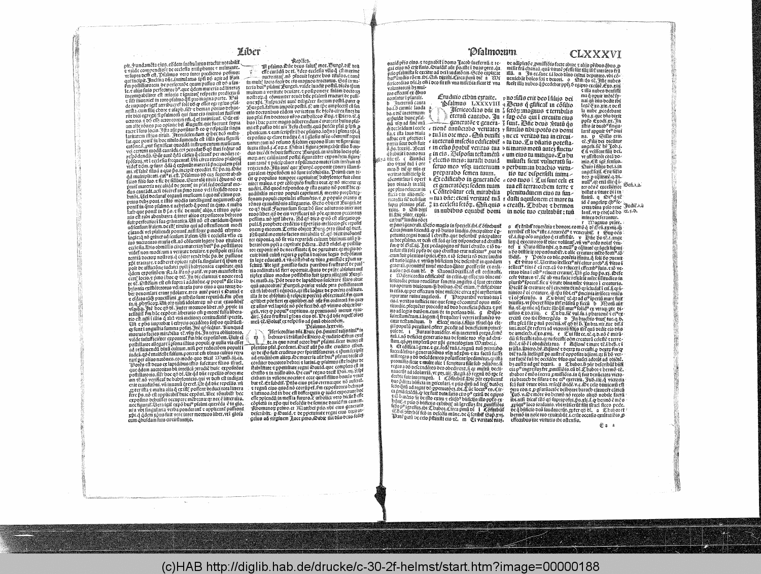 http://diglib.hab.de/drucke/c-30-2f-helmst/00000188.gif