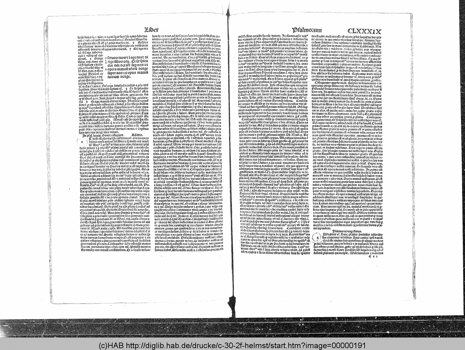 http://diglib.hab.de/drucke/c-30-2f-helmst/00000191.gif