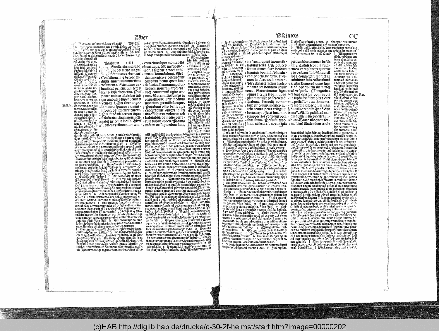http://diglib.hab.de/drucke/c-30-2f-helmst/00000202.gif