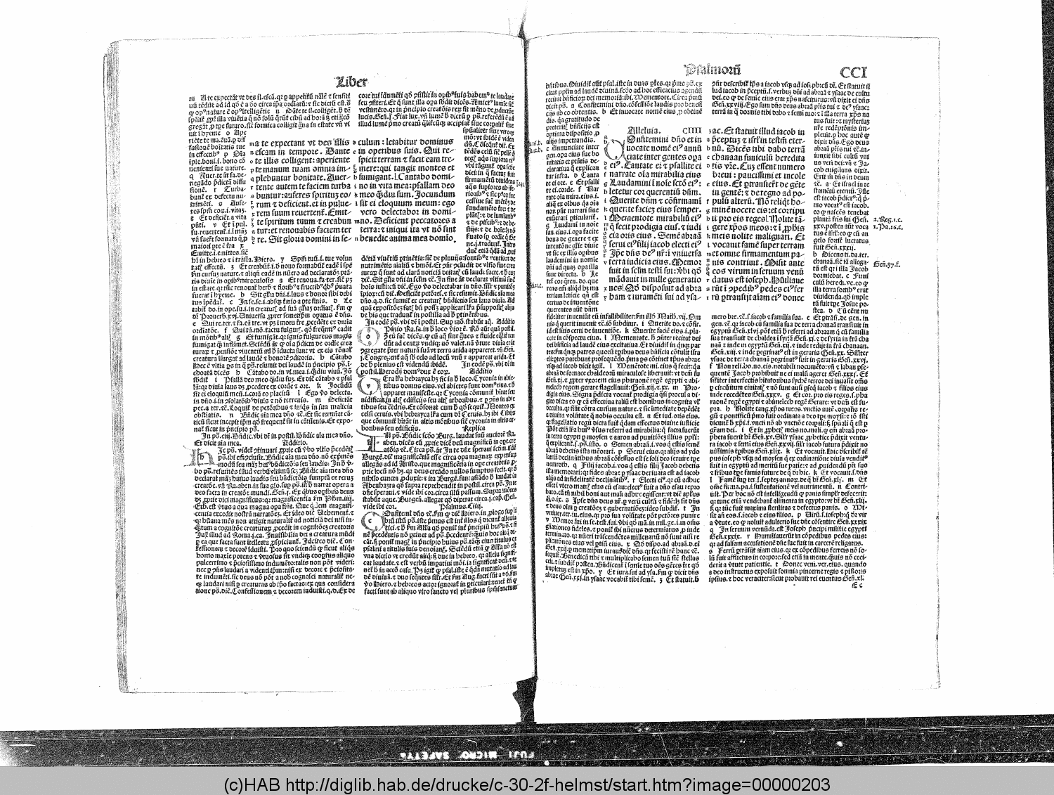 http://diglib.hab.de/drucke/c-30-2f-helmst/00000203.gif