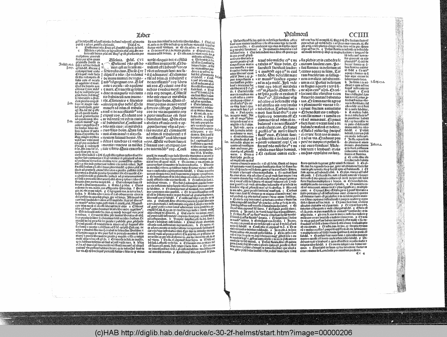 http://diglib.hab.de/drucke/c-30-2f-helmst/00000206.gif