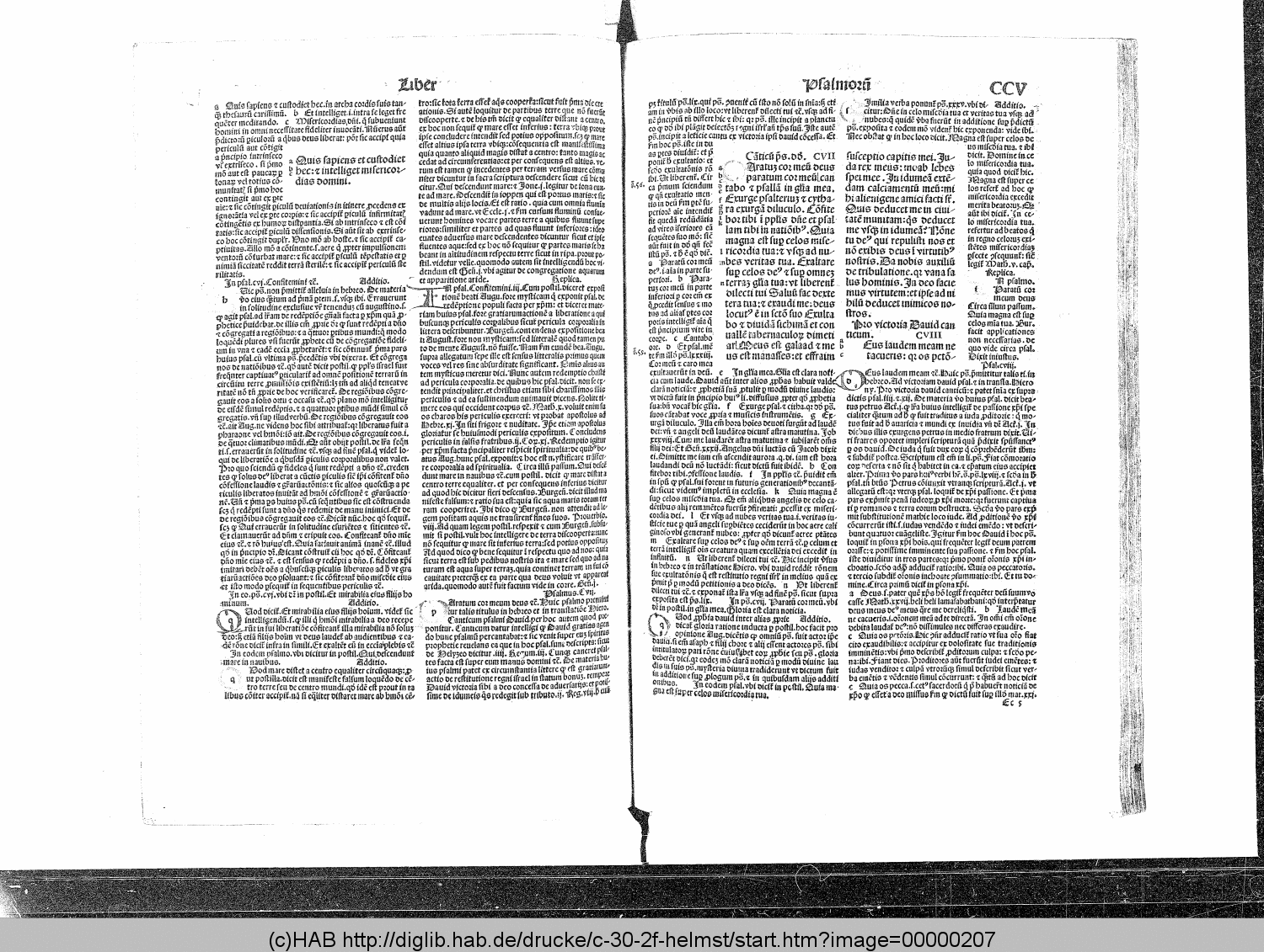 http://diglib.hab.de/drucke/c-30-2f-helmst/00000207.gif