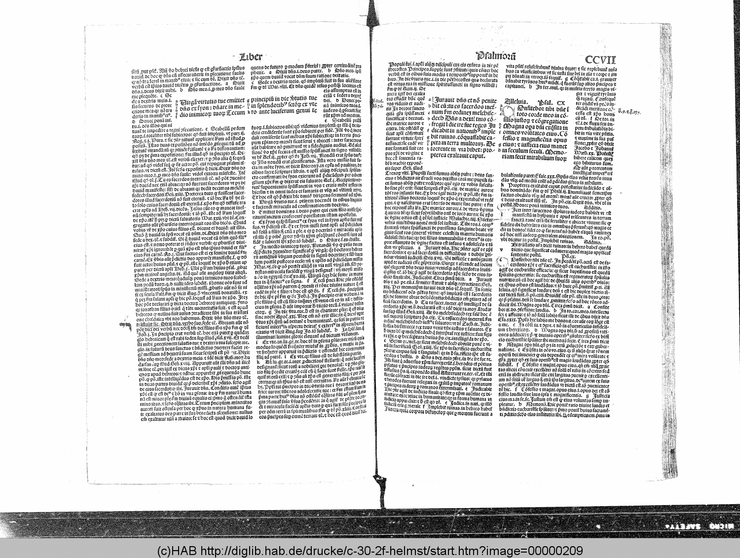 http://diglib.hab.de/drucke/c-30-2f-helmst/00000209.gif