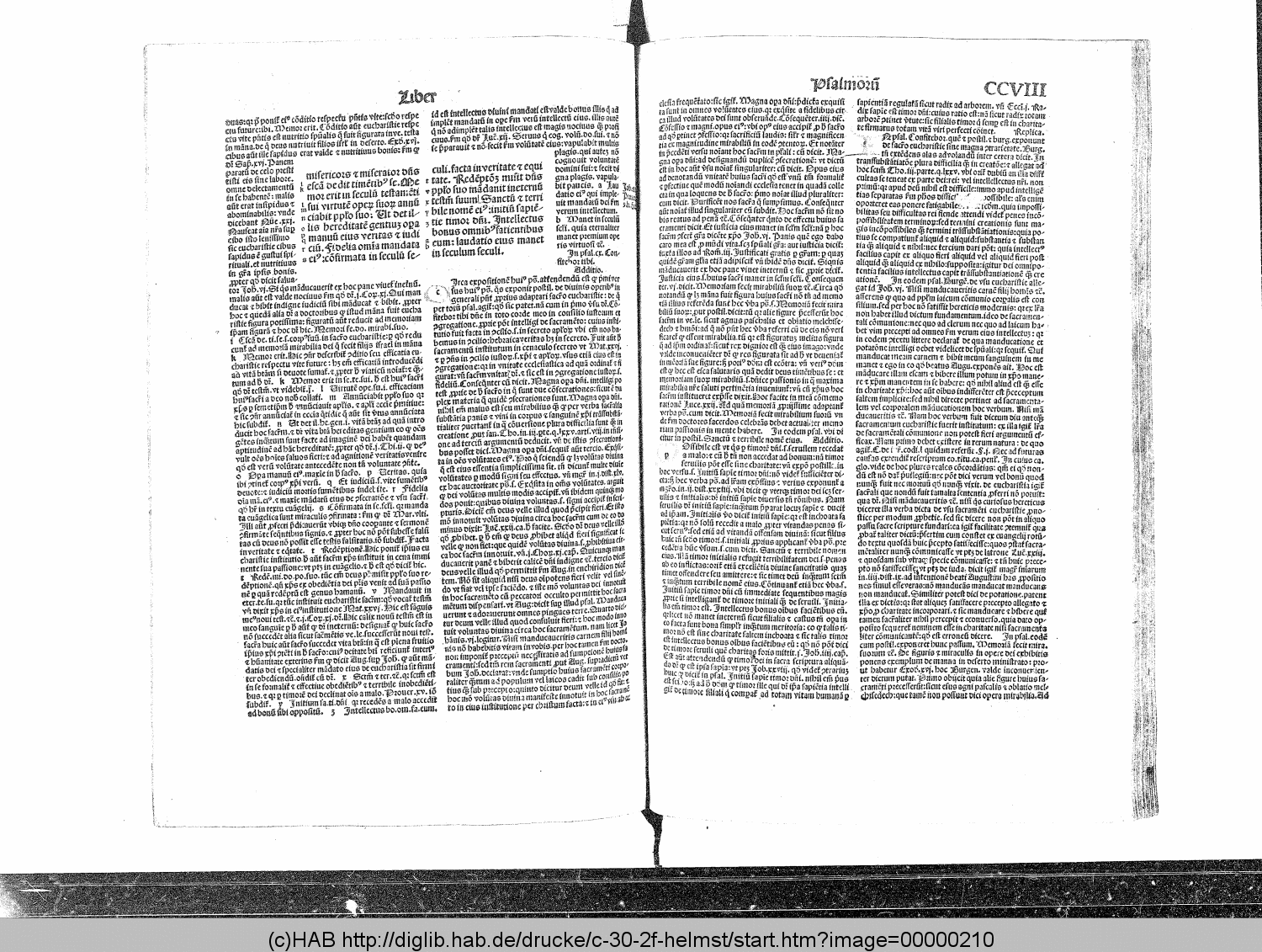 http://diglib.hab.de/drucke/c-30-2f-helmst/00000210.gif